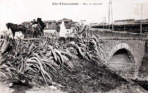 Ain-Temouchent - Pont de Beni-Saf